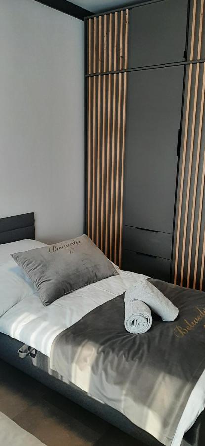 Belweder Loft Apartment Nysa Exterior photo